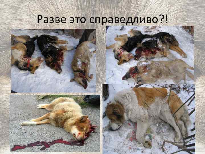 Разве это справедливо? ! 