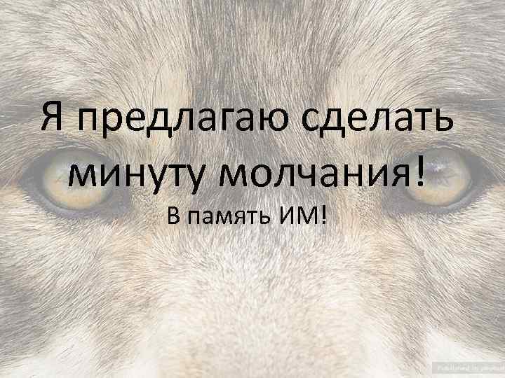 Я предлагаю сделать минуту молчания! В память ИМ! 