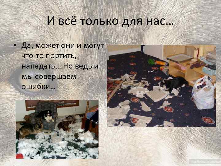 И всё только для нас… • Да, может они и могут что-то портить, нападать…