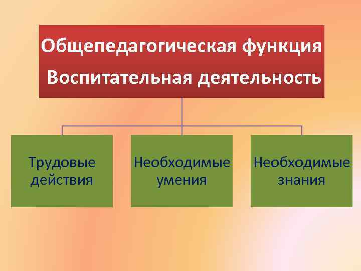 Общепедагогическая функция Воспитательная деятельность Трудовые действия Необходимые умения Необходимые знания 