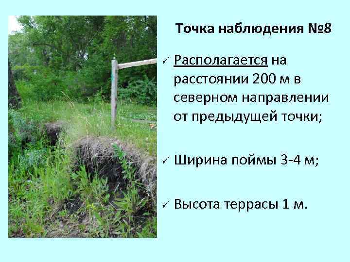 Точка наблюдения № 8 ü Располагается на расстоянии 200 м в северном направлении от