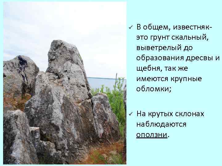 ü ü В общем, известнякэто грунт скальный, выветрелый до образования дресвы и щебня, так