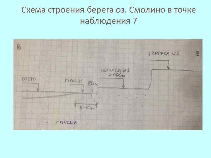 Схема строения берега оз. Смолино в точке наблюдения 7 