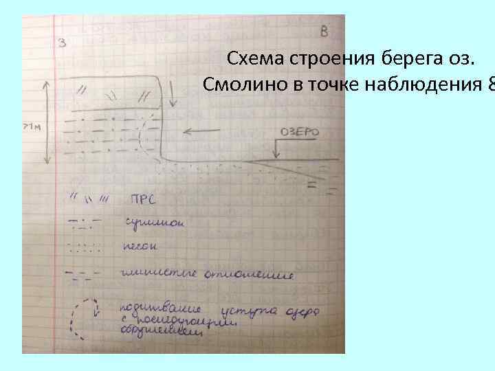 Схема строения берега оз. Смолино в точке наблюдения 8 