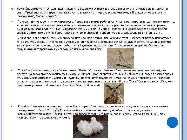  Наука биоритмология сегодня делит людей на большие группы в зависимости от того, кто