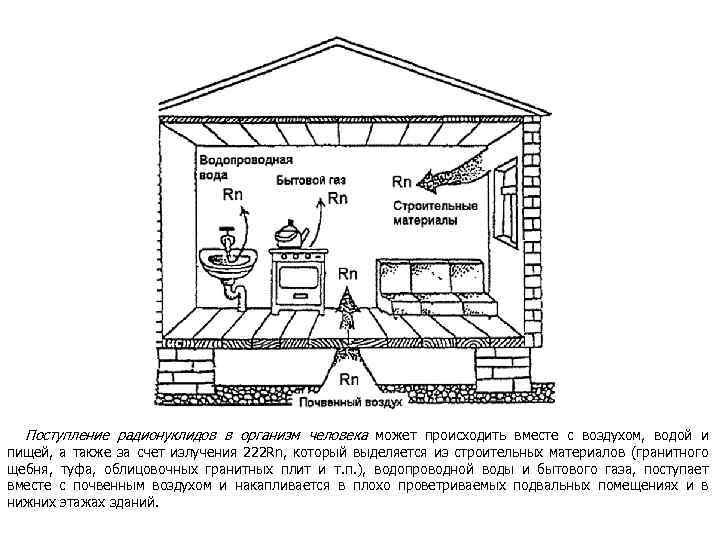 Поступление радионуклидов в организм человека может происходить вместе с воздухом, водой и пищей, а