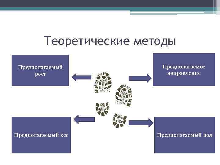 Теоретические методы Предполагаемый рост Предполагаемое направление Предполагаемый вес Предполагаемый пол 