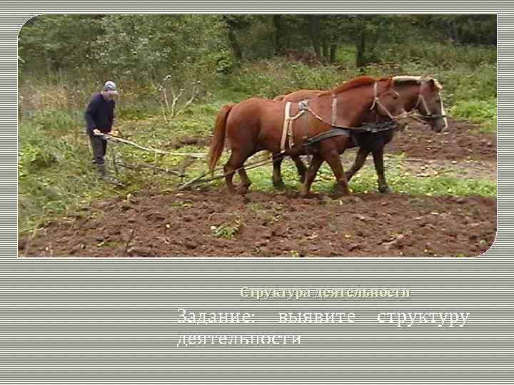 Структура деятельности Задание: выявите деятельности структуру 