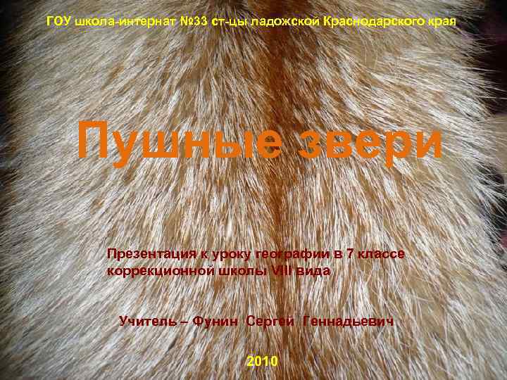 ГОУ школа-интернат № 33 ст-цы ладожской Краснодарского края Пушные звери Презентация к уроку географии