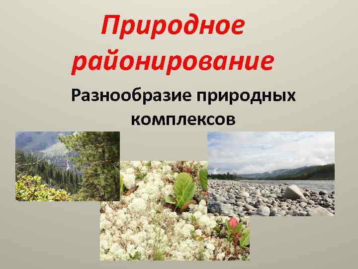 Природное районирование Разнообразие природных комплексов 