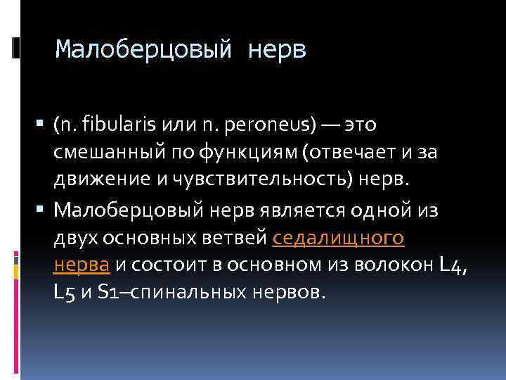 Малоберцовый нерв (n. fibularis или n. peroneus) — это смешанный по функциям (отвечает и