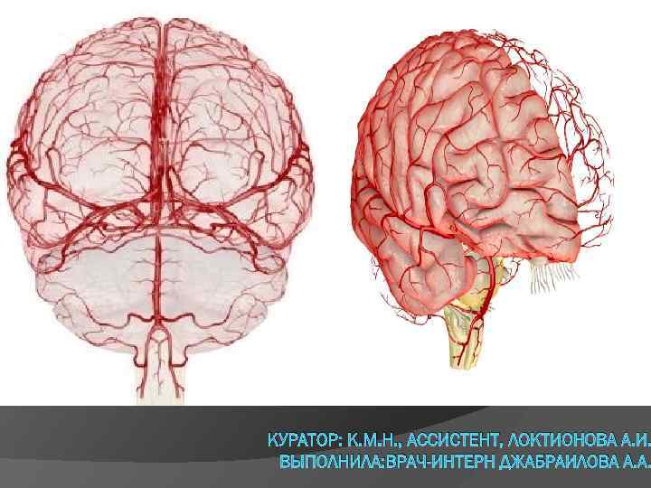 КУРАТОР: К. М. Н. , АССИСТЕНТ, ЛОКТИОНОВА А. И. ВЫПОЛНИЛА: ВРАЧ-ИНТЕРН ДЖАБРАИЛОВА А. А.