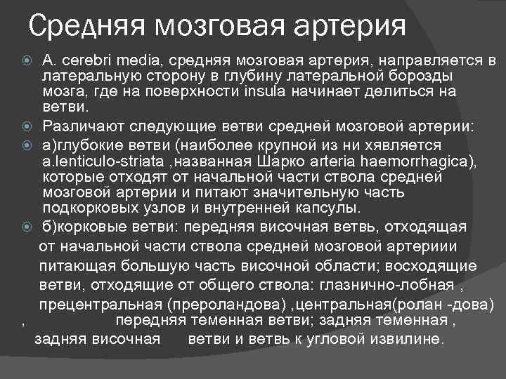 Средняя мозговая артерия A. cerebri media, средняя мозговая артерия, направляется в латеральную сторону в