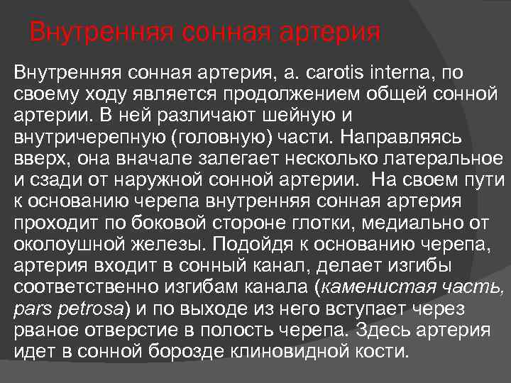 Внутренняя сонная артерия, a. carotis interna, по своему ходу является продолжением общей сонной артерии.