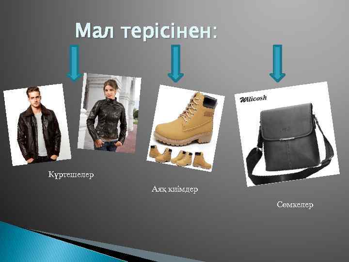 Мал терісінен: Күртешелер Аяқ киімдер Сөмкелер 