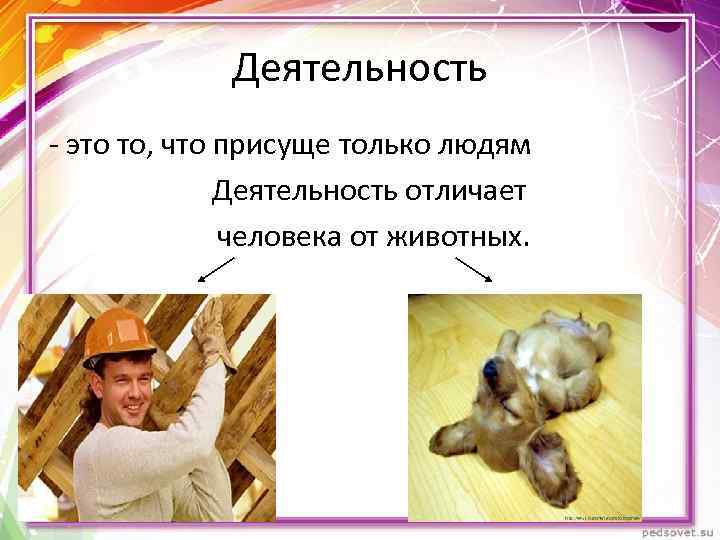 Деятельность - это то, что присуще только людям Деятельность отличает человека от животных. 