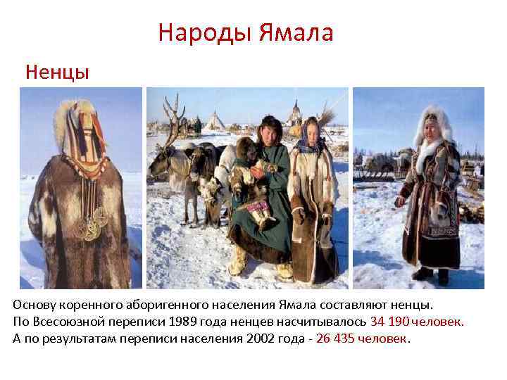 Народы Ямала Ненцы Основу коренного аборигенного населения Ямала составляют ненцы. По Всесоюзной переписи 1989