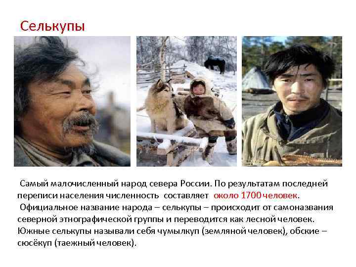 Селькупы Самый малочисленный народ севера России. По результатам последней переписи населения численность составляет около