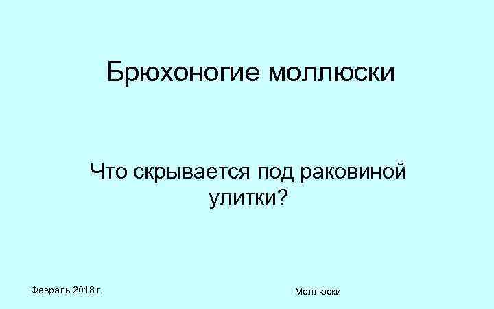 Брюхоногие моллюски Что скрывается под раковиной улитки? Февраль 2018 г. Моллюски 