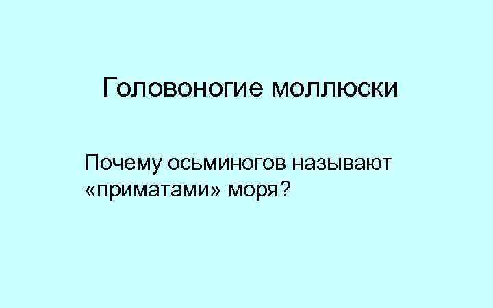 Головоногие моллюски Почему осьминогов называют «приматами» моря? 