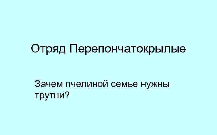 Отряд Перепончатокрылые Зачем пчелиной семье нужны трутни? 