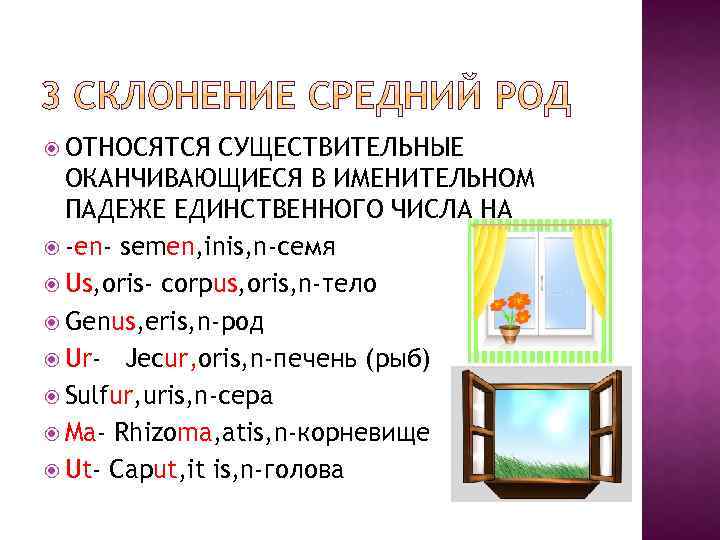  ОТНОСЯТСЯ СУЩЕСТВИТЕЛЬНЫЕ ОКАНЧИВАЮЩИЕСЯ В ИМЕНИТЕЛЬНОМ ПАДЕЖЕ ЕДИНСТВЕННОГО ЧИСЛА НА -en- semen, inis, n-семя