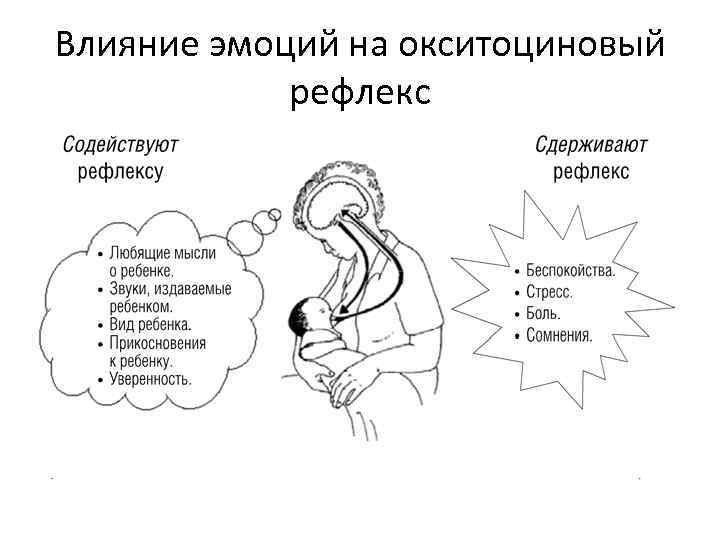 Влияние эмоций на окситоциновый рефлекс 