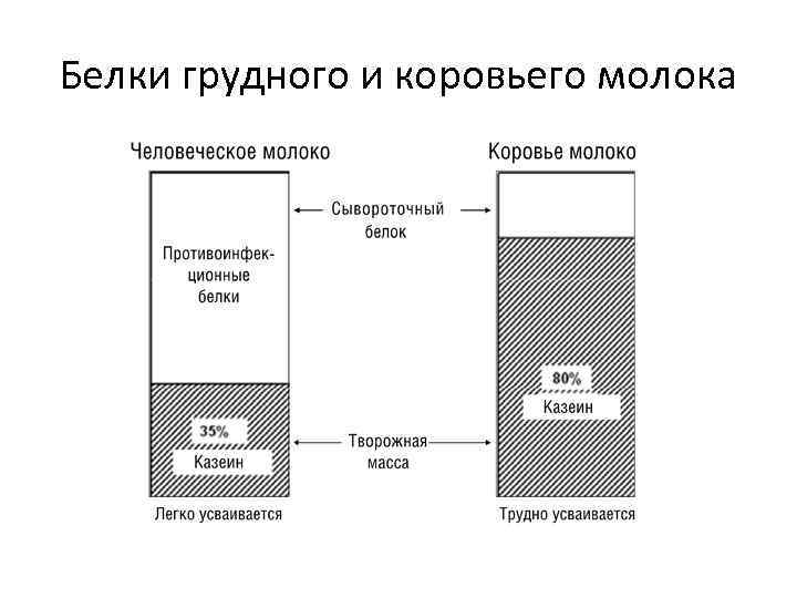 Белки грудного и коровьего молока 