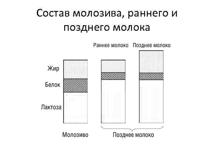 Состав молозива, раннего и позднего молока 