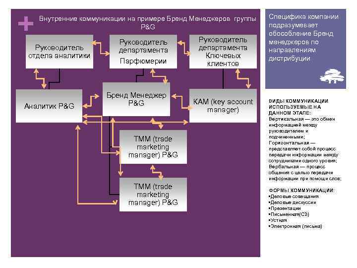 + Внутренние коммуникации на примере Бренд Менеджеров группы P&G Руководитель отдела аналитики Аналитик P&G