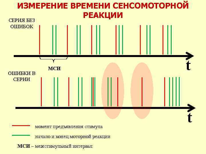 ИЗМЕРЕНИЕ ВРЕМЕНИ СЕНСОМОТОРНОЙ РЕАКЦИИ СЕРИЯ БЕЗ ОШИБОК ОШИБКИ В СЕРИИ МСИ момент предъявления стимула