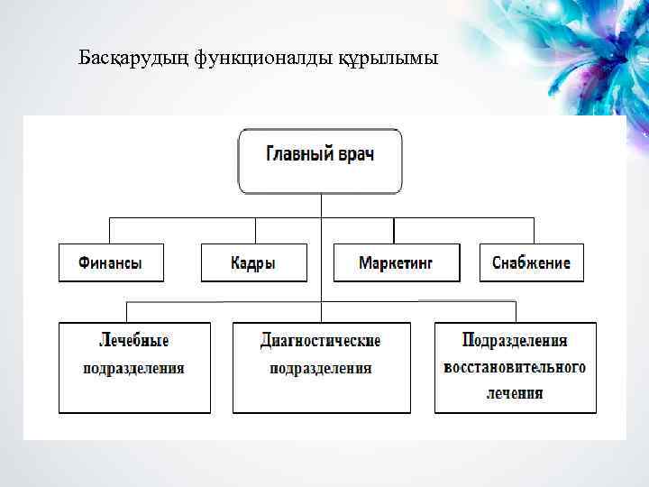 Басқарудың функционалды құрылымы 