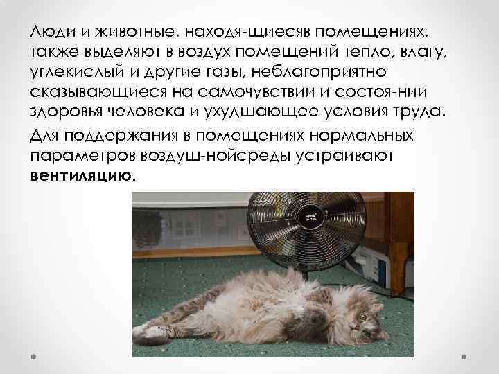 Люди и животные, находя щиесяв помещениях, также выделяют в воздух помещений тепло, влагу, углекислый