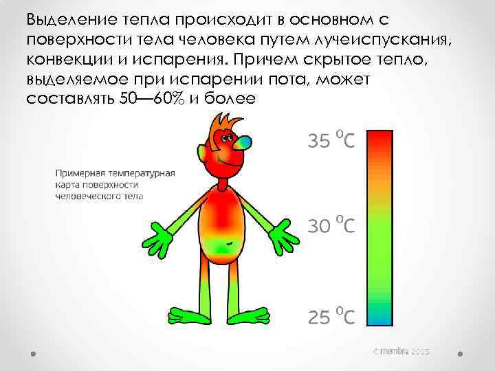 Выделение тепла происходит в основном с поверхности тела человека путем лучеиспускания, конвекции и испарения.