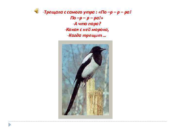 -Трещала с самого утра : «По –р – ра!» -А что пора? -Какая с