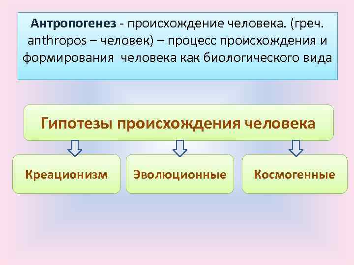 Антропогенез - происхождение человека. (греч. anthropos – человек) – процесс происхождения и формирования человека