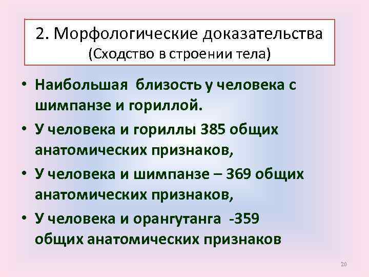 2. Морфологические доказательства (Сходство в строении тела) • Наибольшая близость у человека с шимпанзе