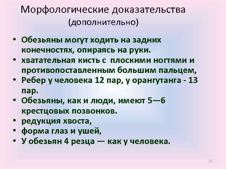 Морфологические доказательства (дополнительно) • Обезьяны могут ходить на задних конечностях, опираясь на руки. •