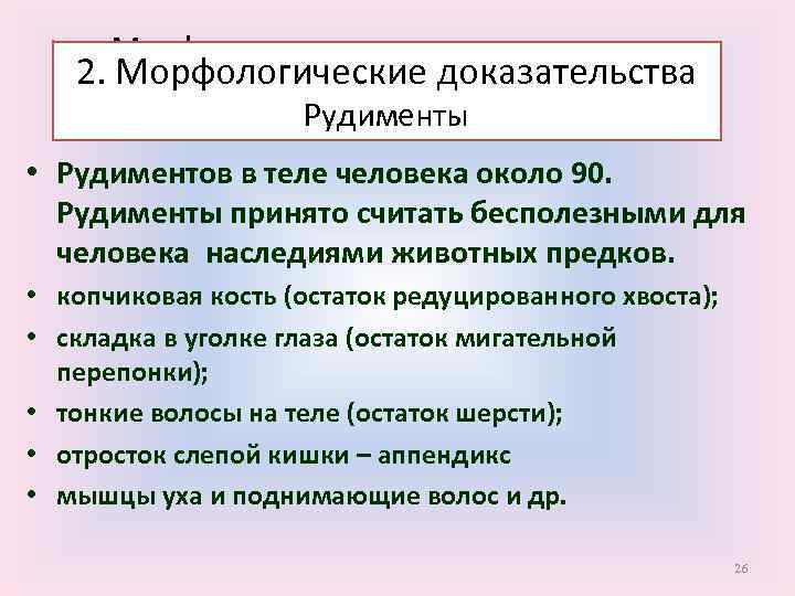 Морфологические доказательства 2. Морфологические доказательства (рудименты) Рудименты • Рудиментов в теле человека около 90.