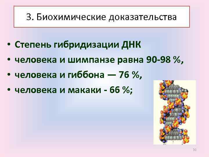 Биохимические доказательства 3. Биохимические доказательства • • Степень гибридизации ДНК человека и шимпанзе равна