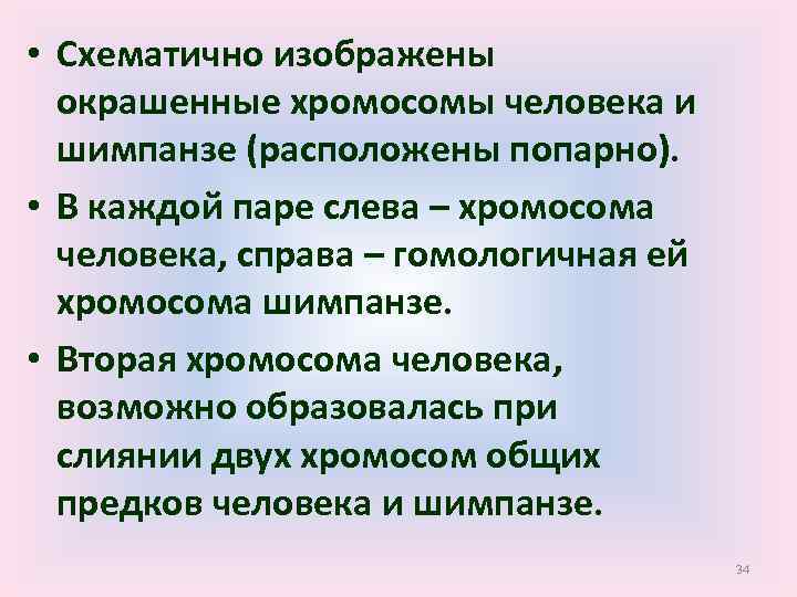  • Схематично изображены окрашенные хромосомы человека и шимпанзе (расположены попарно). • В каждой