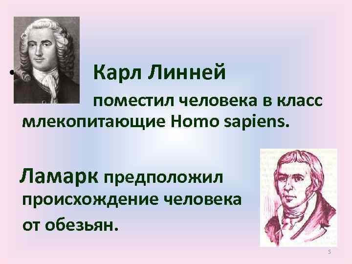  • Карл Линней поместил человека в класс млекопитающие Ноmo sapiens. Ламарк предположил происхождение