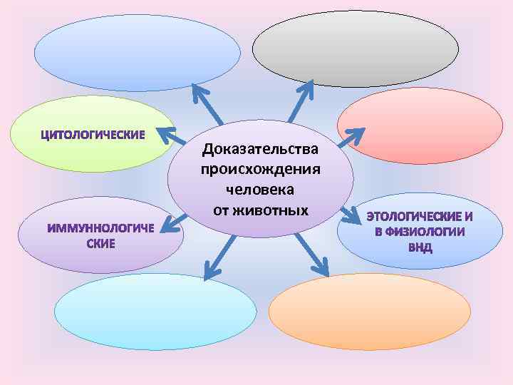 Доказательства происхождения человека от животных 