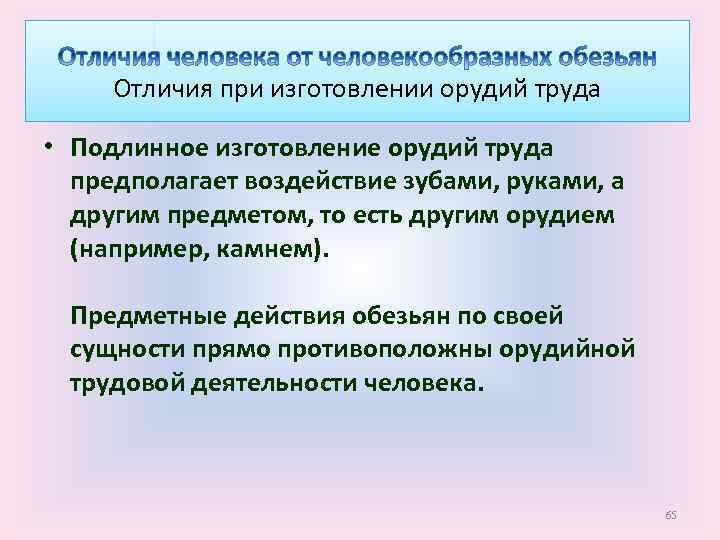 Отличия при изготовлении орудий труда • Подлинное изготовление орудий труда предполагает воздействие зубами, руками,