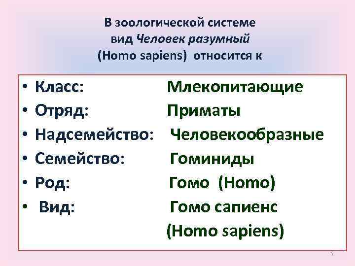 В зоологической системе вид Человек разумный (Homo sapiens) относится к • Класс: Млекопитающие •