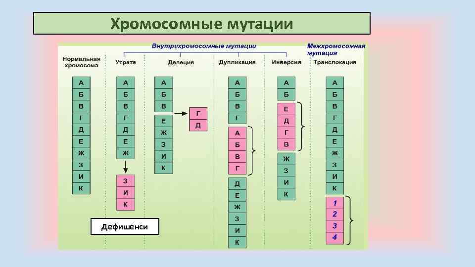 Хромосомные мутации Дефишенси 