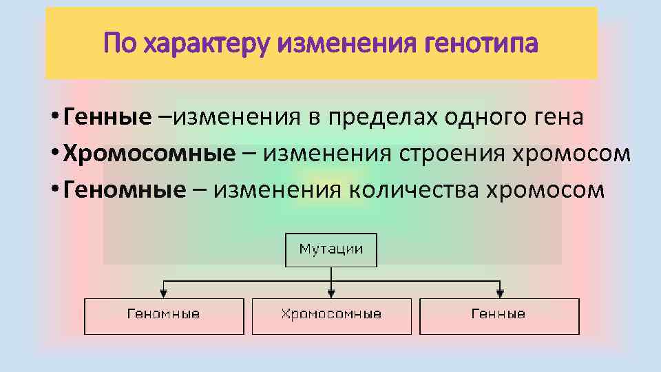 По характеру изменения генотипа • Генные –изменения в пределах одного гена • Хромосомные –