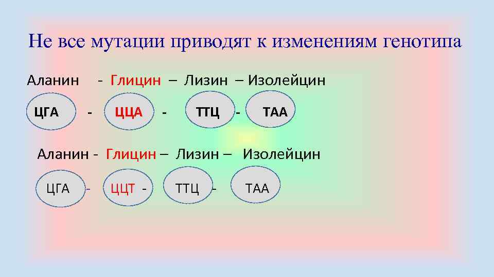 Не все мутации приводят к изменениям генотипа Аланин Глицин – Лизин – Изолейцин ЦГА