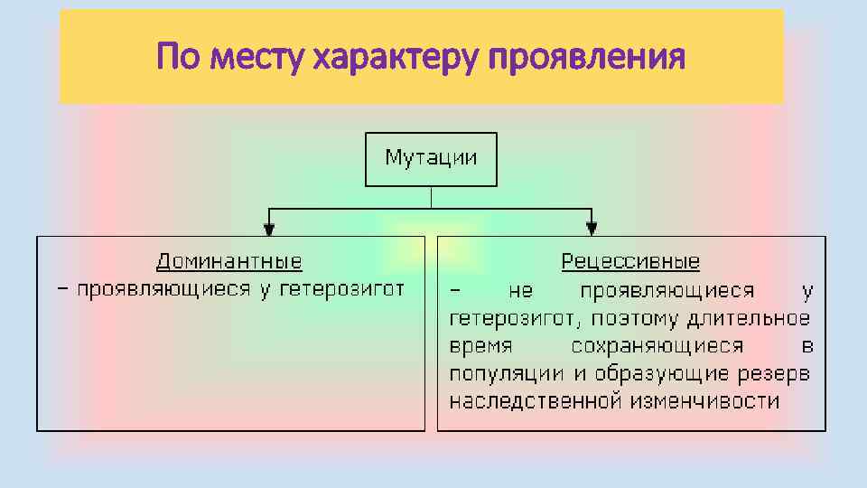 По месту характеру проявления 