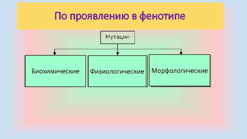 По проявлению в фенотипе Биохимические Физиологические Морфологические 